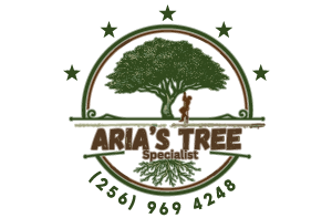 Aria´s Tree Specialist and Removal